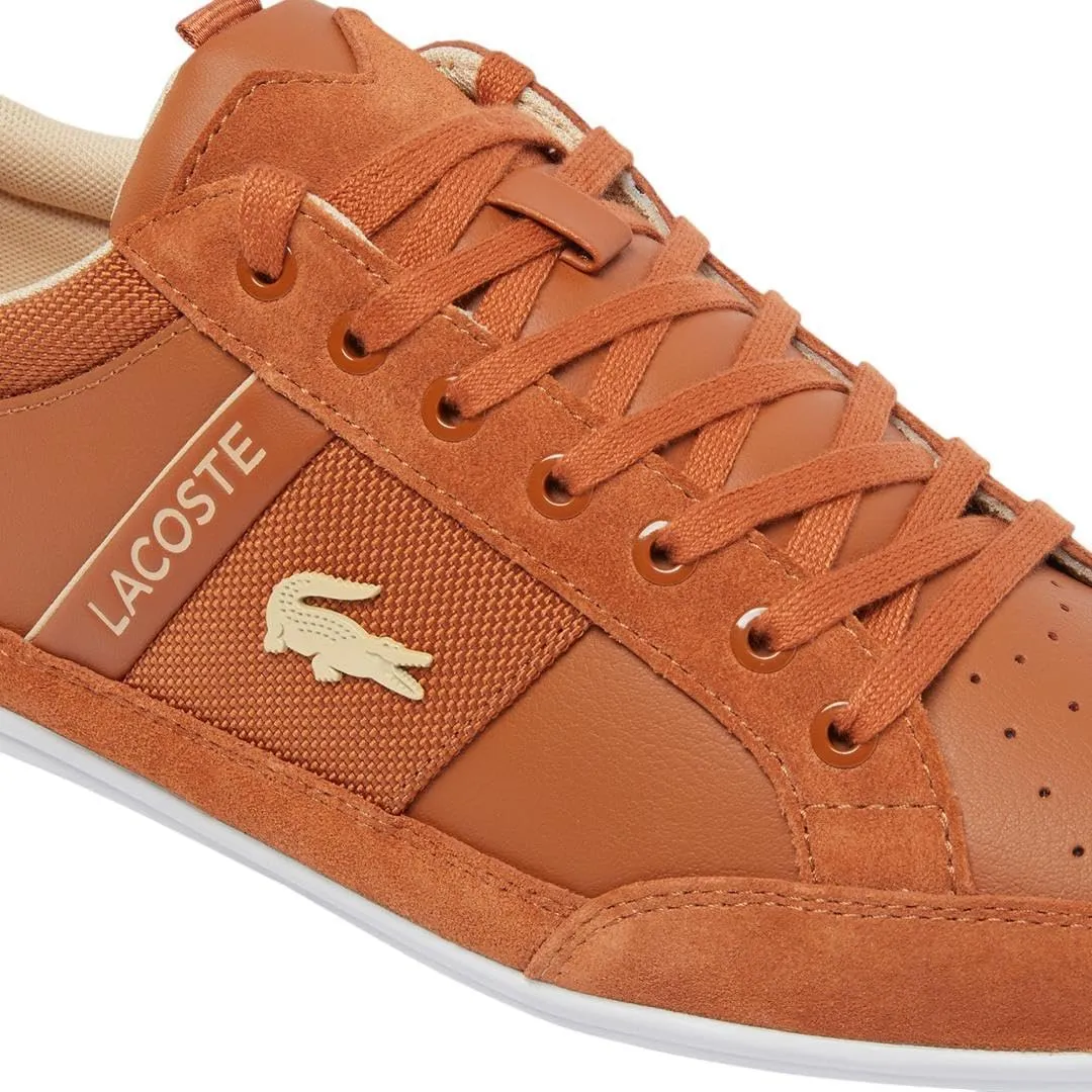 Lacoste Men's Chaymon Sneakers